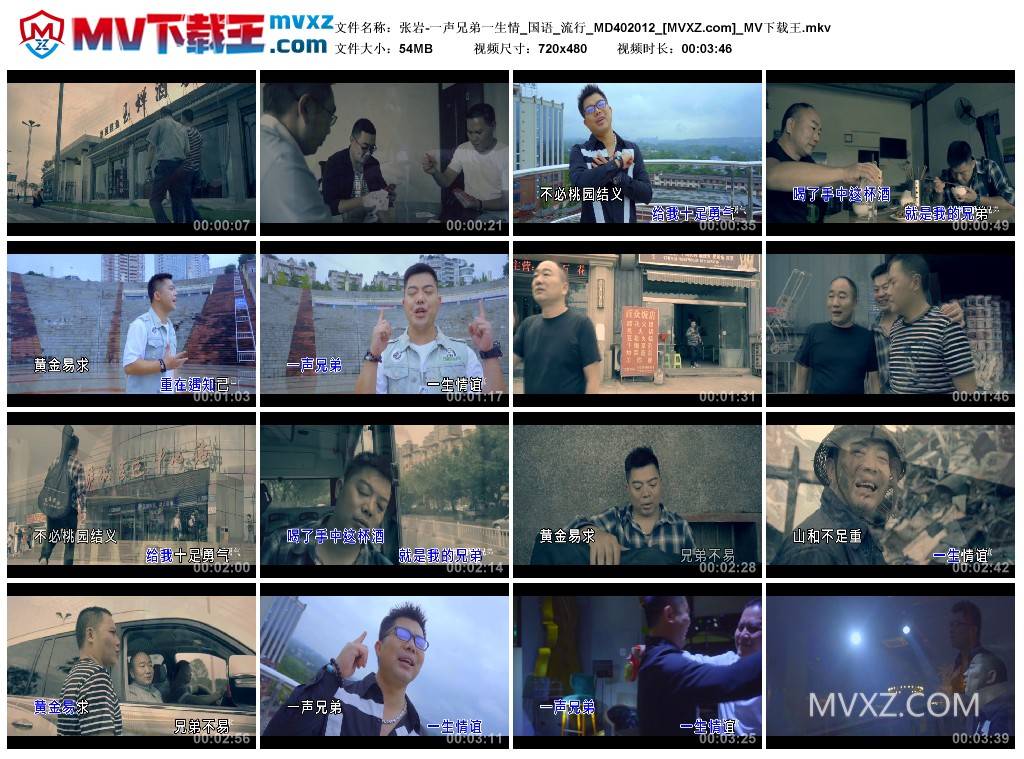 张岩-一声兄弟一生情_国语_流行_MD402012